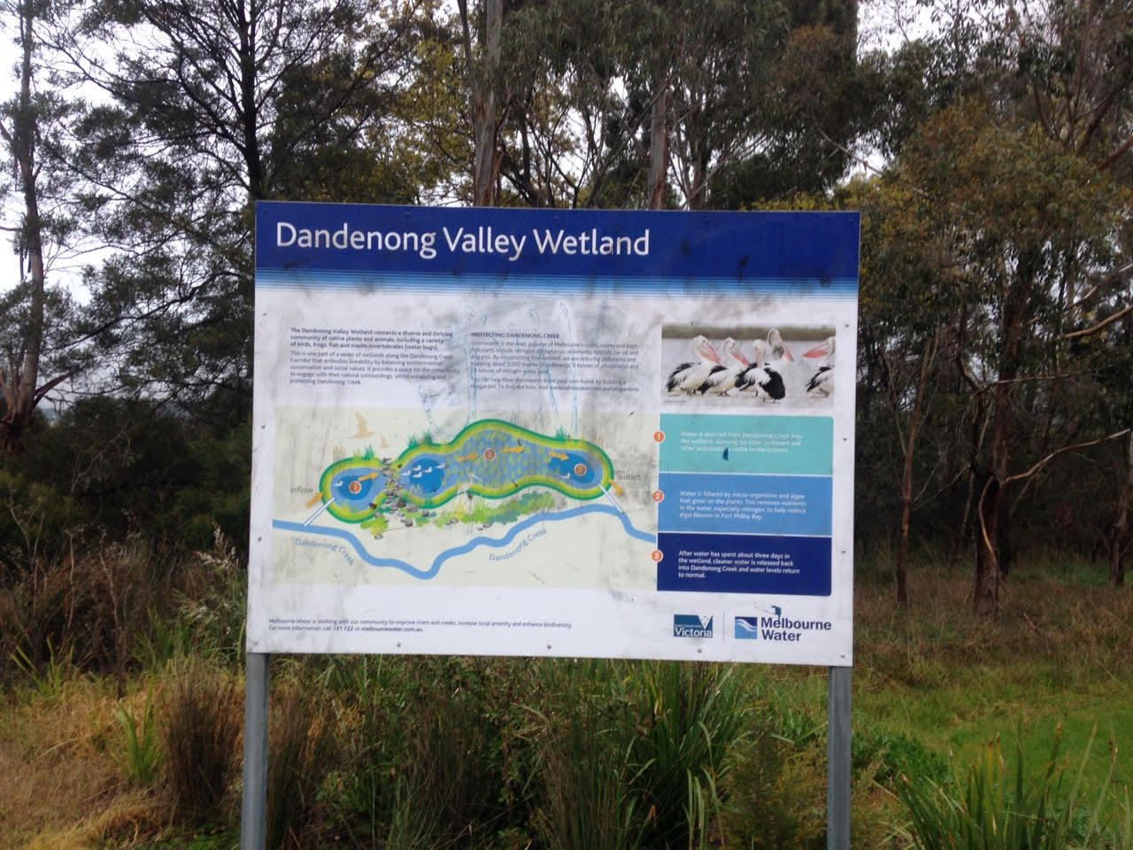 Dandenong Wetlands - Melbourne Australia