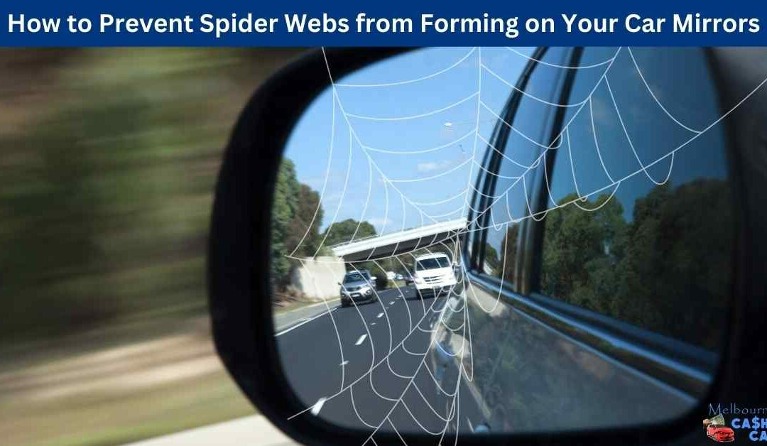 how to stop spider webs on car mirrors